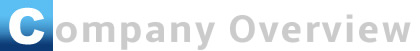 company profiile